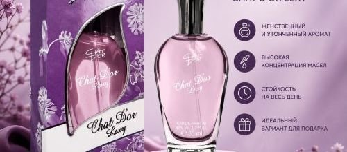 Купить женские духи Chat D’Or Lexy 30 мл в Кишиневе с доставкой по Молдове — Paradis Cosmetic Moldova Chat D’Or Lexy 30 мл — женские масляные духи в Молдове | Paradis Cosmetic Moldova