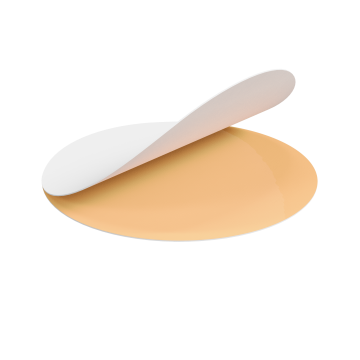 Сменные файлы белые для педикюрного диска 100 грит STALEKS PRO EXPERT PODODISC L 50 шт