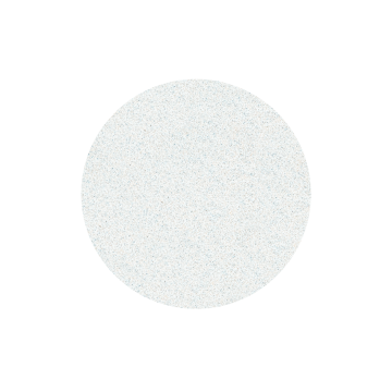 Сменные файлы белые для педикюрного диска на мягкой основе 240 грит STALEKS PRO EXPERT PODODISC L 50 шт