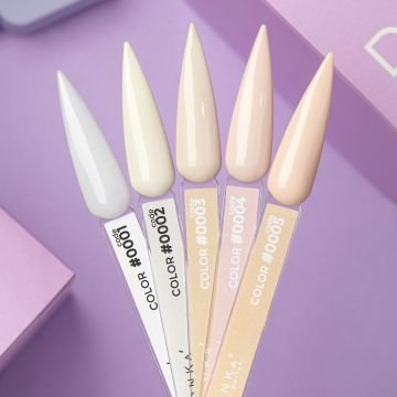 Цветной гель-лак DNKa No. 0004 Цветной гель-лак DNKa No. 0004