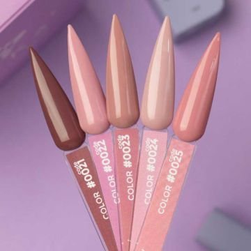 Цветной гель-лак DNKa No. 0025