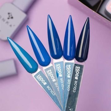 Цветной гель-лак DNKa No. 0051