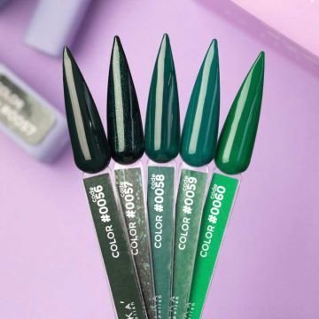 Цветной гель-лак DNKa No. 0060