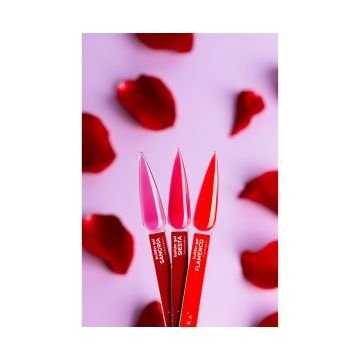 DNKa’. Builder Gel, SIESTA