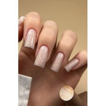 French Base Valeri №80