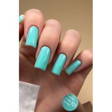 French Base Valeri №101