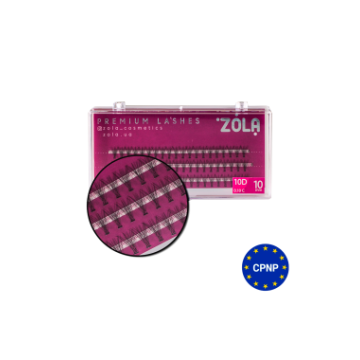 Профессиональные пучковые ресницы ZOLA Cluster Lashes 10D 