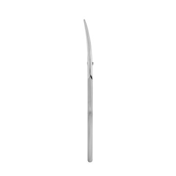 Ножницы для ногтей профессиональные STALEKS SMART 30 TYPE 1